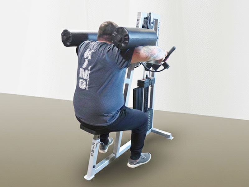 King-Lateral-Raise-from-rear--facing-in-full-rep